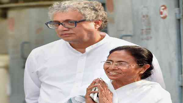 क्यों उठी टीएमसी-पीके में मतभेद की बात ?