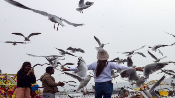 दिल्ली में 6 जनवरी तक भीगे मौसम का अनुमान दिल्ली में 6 जनवरी तक भीगे मौसम का अनुमान