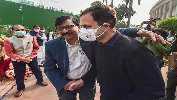 राहुल गांधी के बड़े मुरीद बने गए हैं संजय राउत