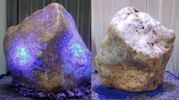  लगभग 400 मिलियन साल पहले बना