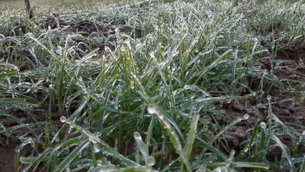  फतेहपुर में 1991 से रिकॉर्ड हो रहा तापमान