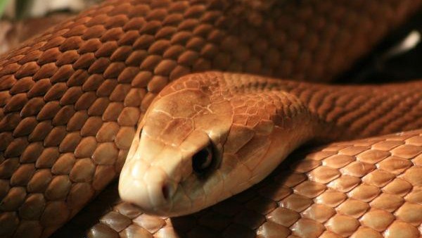 7 करोड़ का था घर 7 करोड़ का था घर