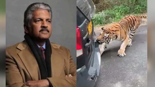 हे भगवान, वह पूरी कार खींच रहा है