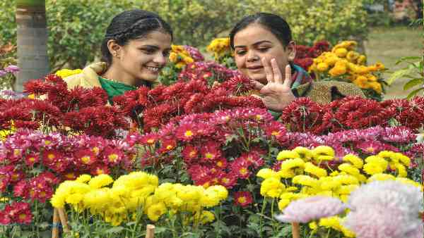 80% छात्राएं शादी की उम्र बढ़ाने के समर्थन में हैं
