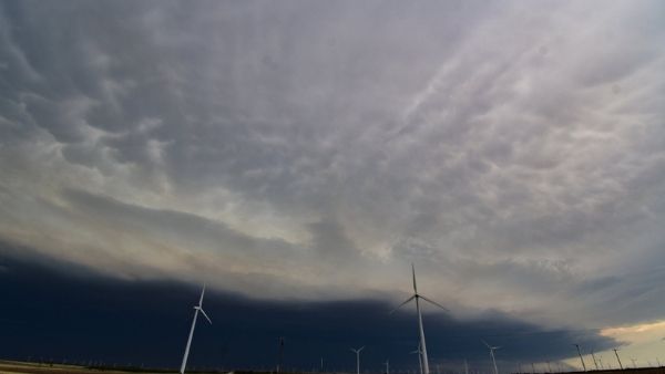 सबसे सर्वश्रेष्ठ तस्वीर