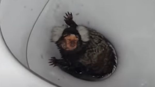 डरावनी हंसी हंसती थी महिला