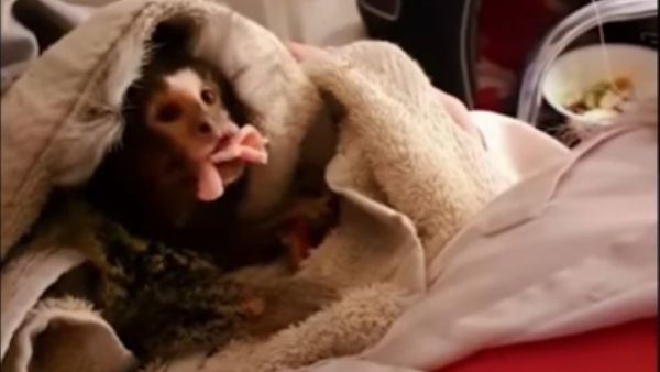 सबसे क्रूर वाकया