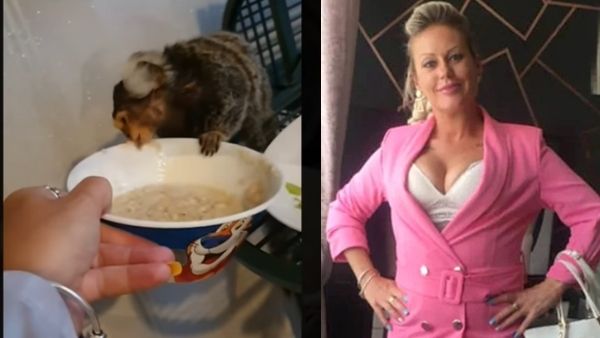 बंदर को टॉर्चर से आता था मजे