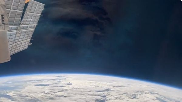 बेहद लुभावना है वीडियो