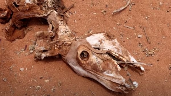 कुपोषण से मौत के कगार पर बच्चे