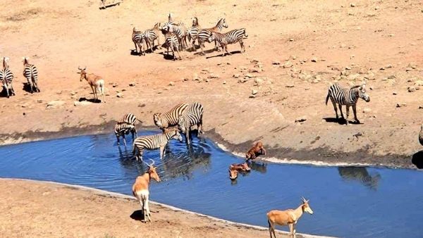 30 प्रतिशत कम हुई है बारिश