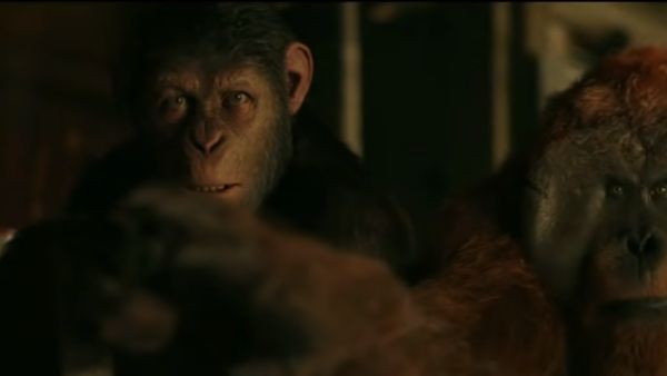 प्रयोगशाला में बंदरों पर प्रयोग प्रयोगशाला में बंदरों पर प्रयोग