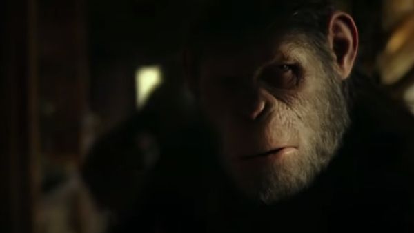 इंसान और बानर की क्रॉस ब्रिडिंग इंसान और बानर की क्रॉस ब्रिडिंग