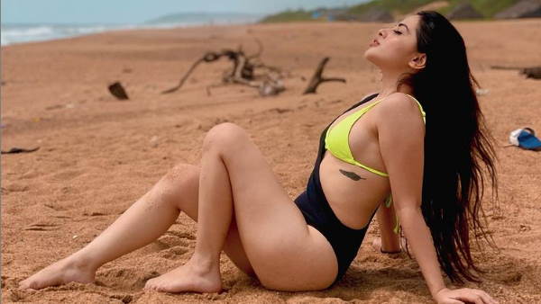 इन शो में काम कर चुकी हैं उर्फी जावेद