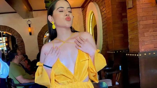 बिग बॉस के अलावा इन सीरियल में आ चुकी हैं नजर बिग बॉस के अलावा इन सीरियल में आ चुकी हैं नजर