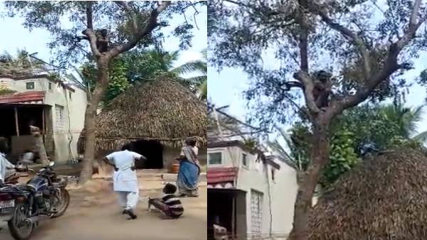 इसलिए नहीं ले रहा था वैक्सीन