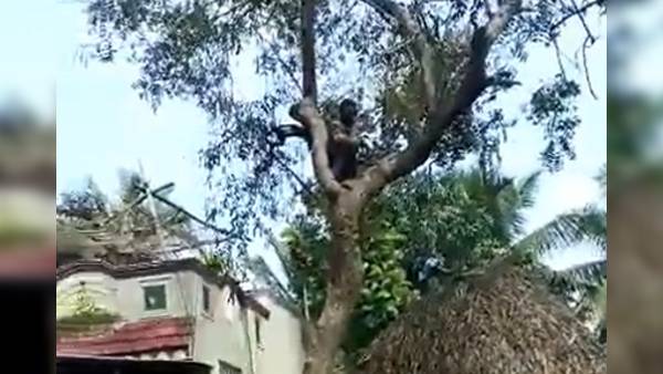 टीम के समझाने के बाद भी नहीं उतरा