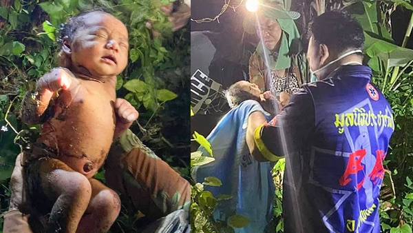 झाड़ियों के बीच थी बच्ची