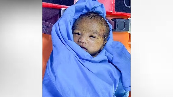 ऊपर चल रहे थे कीड़े