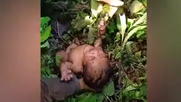 इलाके में हैं खतरनाक सांप