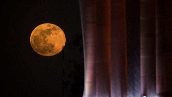 इन मंत्रों से करें मां तुलसी की पूजा इन मंत्रों से करें मां तुलसी की पूजा