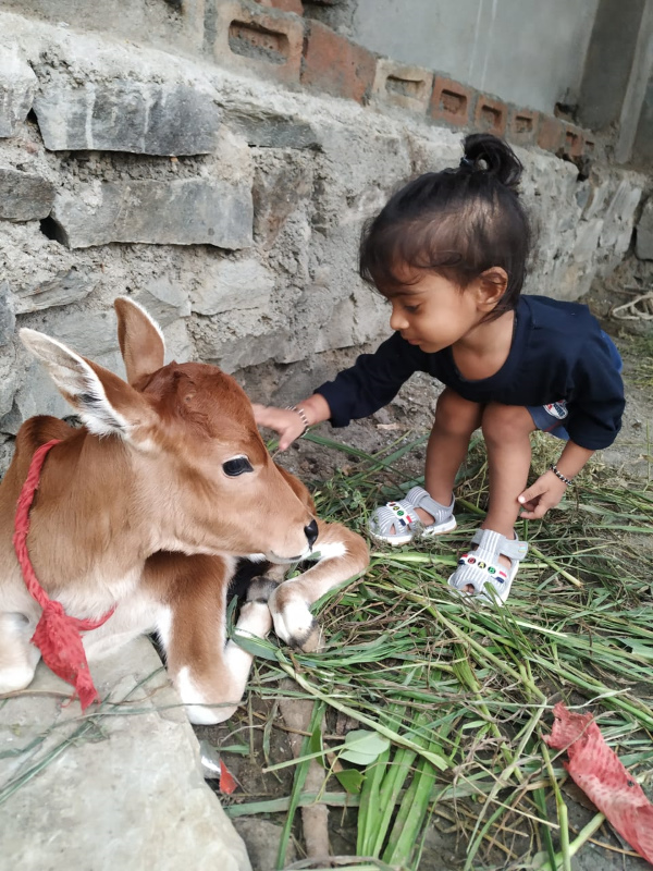  दो साल के बच्चे ने कैसे बनाए रिकॉर्ड?