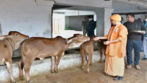 पश्चिमी यूपी के जाटों पर क्यों है बीजेपी को इतना भरोसा ?