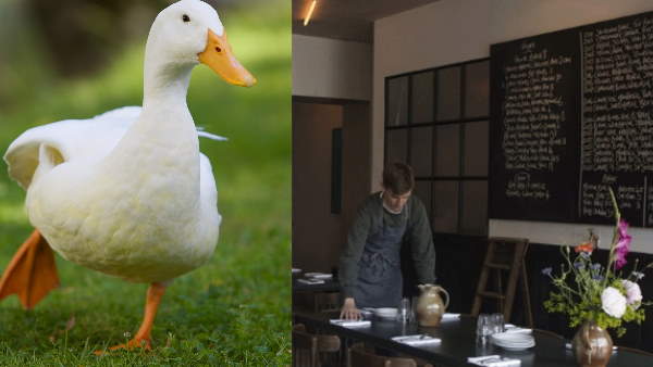 रेस्टोरेंट ने शेयर की डिश की फोटो