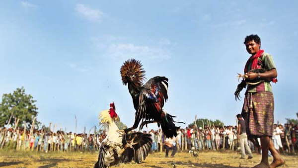 कोरोना भी नही डरा सका ग्रामीणों को