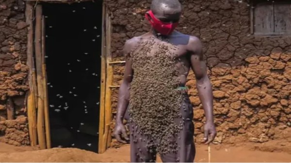 भुजाओं पर मधुमक्खियों को लादे अफ्रीकी शख्स का वीडियो वायरल