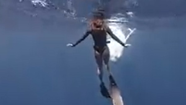 याना के सिर के पास पहुंची बेबी व्हेल