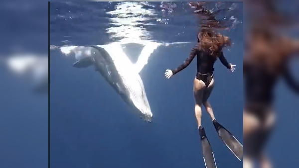 यूं बची जान