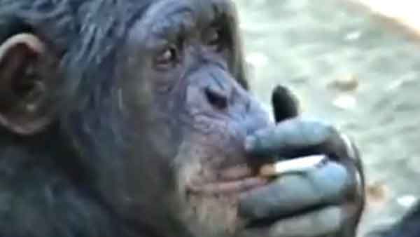 धुएं के छल्ले भी बना लेती थी अजालिया