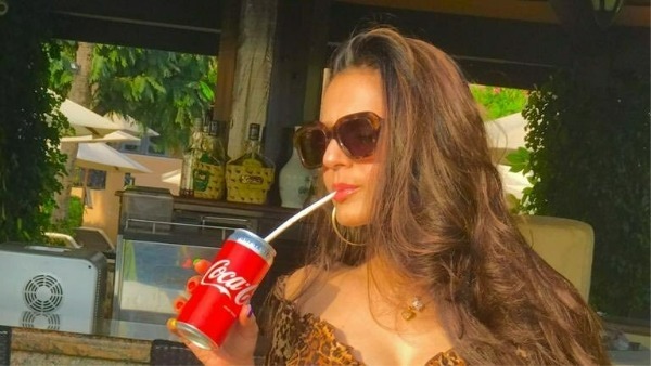 गदर-2 में काम कर रहीं हैं अमीषा