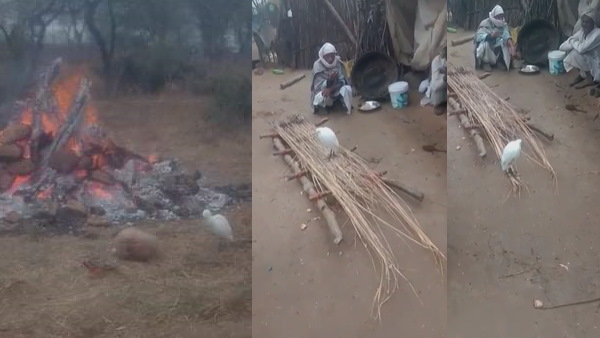 रैणी में मोतीलाल की मौत