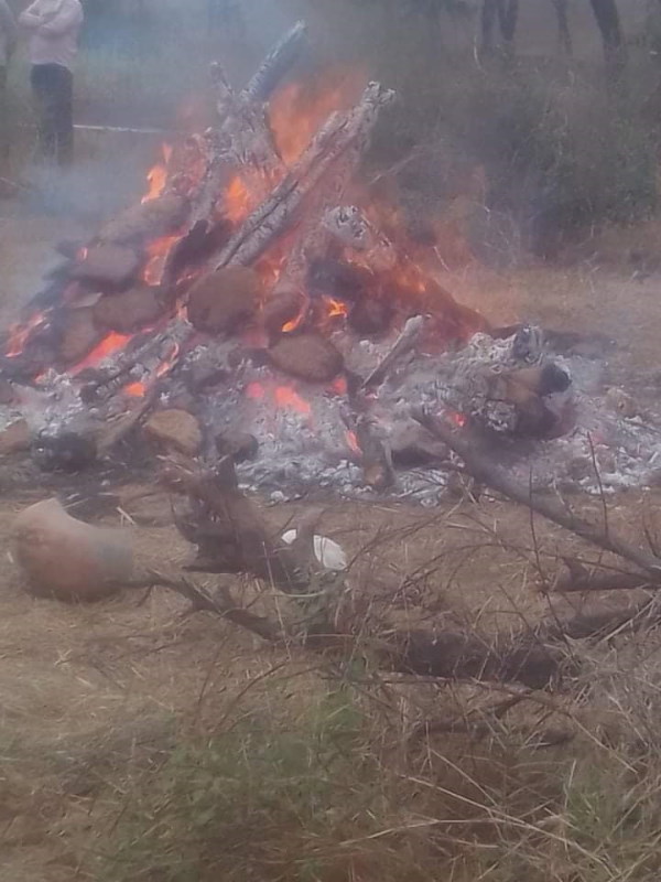 चिता के पास भी घूमता रहा बगुला