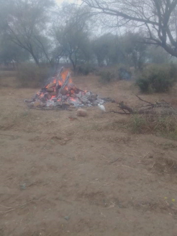  मोतीलाल की अर्थी पर बगुला बैठा रहा