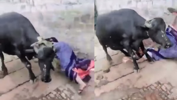 अगले ही पल हुआ ये हाल अगले ही पल हुआ ये हाल