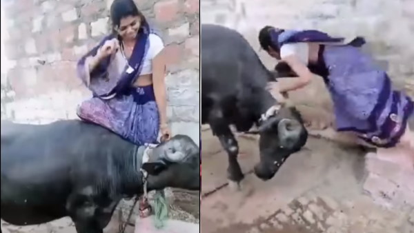 वीडियो से सीखें सबक वीडियो से सीखें सबक