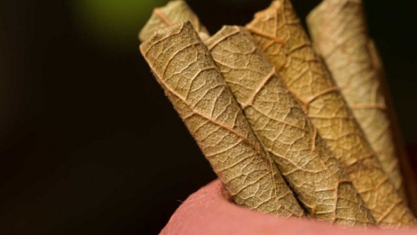 RSS ने केंद्र सरकार को दिए ये सुझाव 