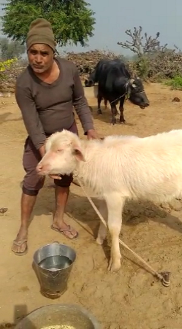 धूप में नहीं खुलती आंखें धूप में नहीं खुलती आंखें