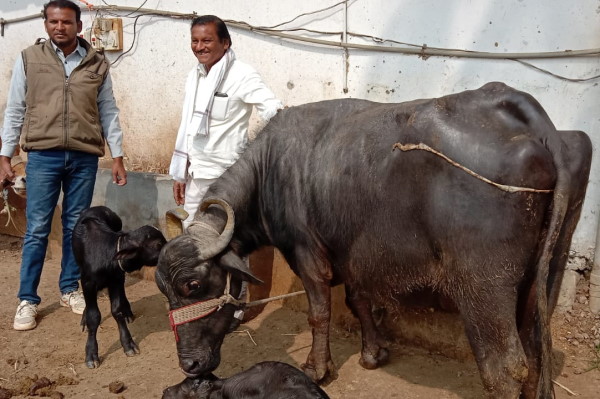 गर्भधारण में डिफरेंस होने के कारण