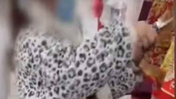 शादी के डिपाटिट मनी वापस लेने पहुंची तो.... शादी के डिपाटिट मनी वापस लेने पहुंची तो....