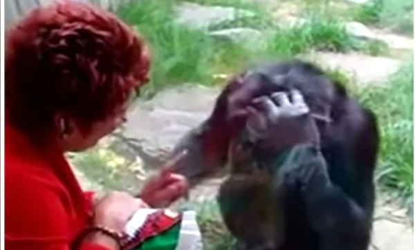 जू प्रशासन ने इसलिए लिया ये फैसला 