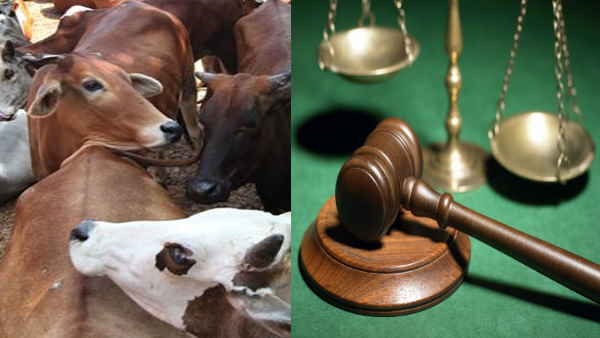 कानून तो बन गया है, लेकिन उसे लागू नहीं किया जा सका है