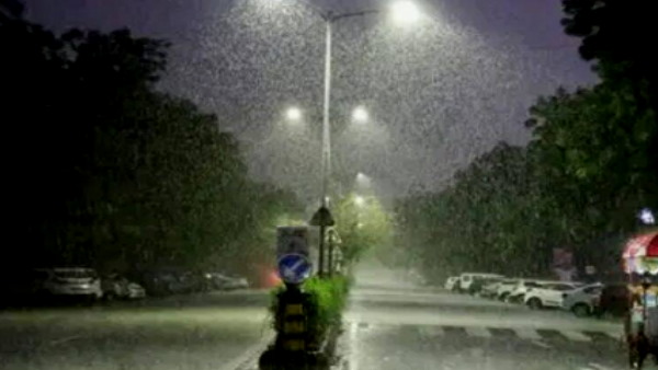 Januarys rains broke the record of 10 years in Punjab, weather forcast, punjab rainfall today