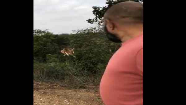 'और लंबी और ऊंची छलांग के लिए स्वर्ण पदक जाता है.........'