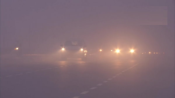 Dense fog engulfs Delhi NCR
