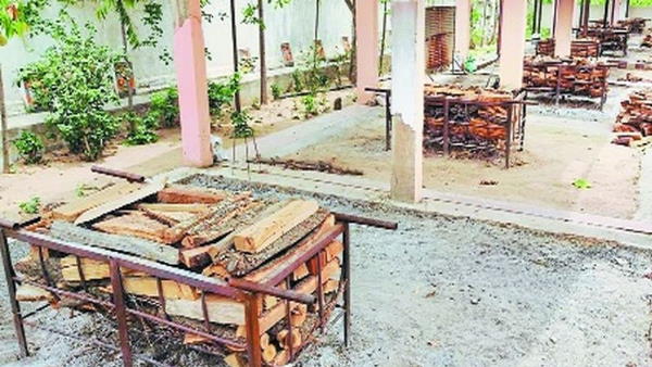 पेड़-पौधों की देखभाव करती हैं