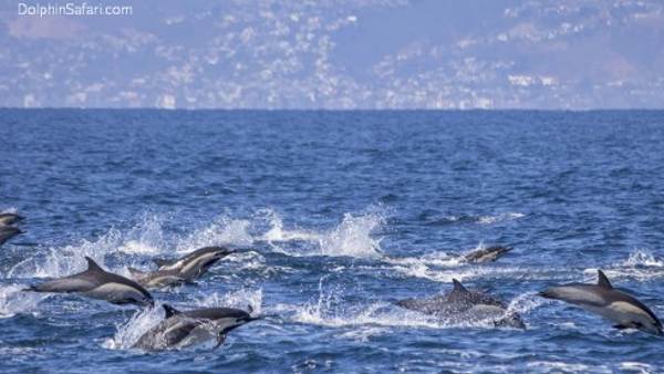 2015 में भी हुआ था सामना 2015 में भी हुआ था सामना